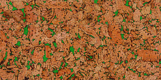 Стеновая панель Amorim Wise Dekwall Hawai Green RY76001