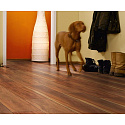 Фотографии в интерьере, Ламинат Falquon Blue Line Wood 8 Canyon Plum