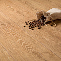 Фотографии в интерьере, Ламинат Kronopol Aurum Gusto Safron Oak