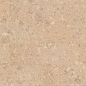 Фотографии в интерьере, Пробковый пол Wicanders Cork Essence Personality Timide