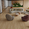 Фотографии в интерьере, SPC ламинат Alpine Floor Grand Sequoia 5 mm Камфора
