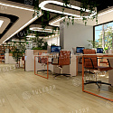 Фотографии в интерьере, SPC ламинат Tulesna Premium Modesto