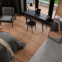 Фотографии в интерьере, SPC ламинат Alpine Floor Grand Sequoia 5 mm Гевуина