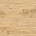 Фотографии в интерьере, Ламинат Floorwood Paradigma Дуб Риман